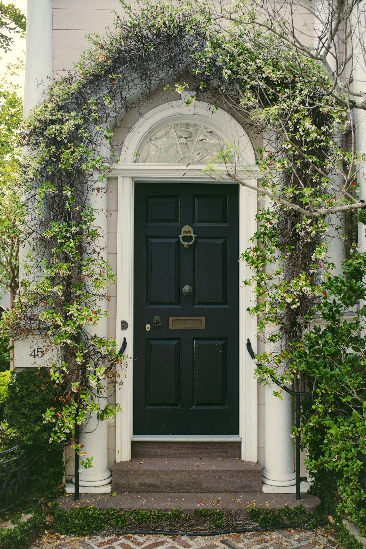 Front door framed by climbing plants